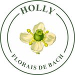 Holly Florais de Bach - @hollyflorais - Instagram