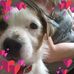 Holly Forth - Facebook