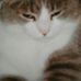 Holly Fredrickson - Facebook