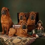 Holly Fuller - @hollyfuller64 - Instagram