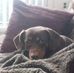Holly Funk - Facebook