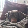 Holly Funk - @holly.funk - TikTok