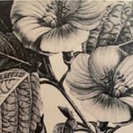 HOLLY GAVIN - @flowers.by.holly - Instagram