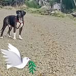 Holly George - Facebook