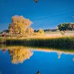 Toni Gildea - @hollymerrill7539 - Instagram