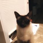 Holly Grasso - @holly.grasso - Instagram
