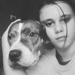 Holly Greer - @holly_bulldog - Instagram