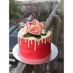 Holly Grubb - @grubbs_up - Instagram