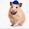 Hollywood hamester - @hollywoodhames - TikTok