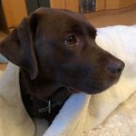 Holly Hammer - @_holly_hammer_ - Instagram