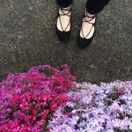 Holly Hammers - @holly.hammers - Instagram