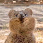 @hollyhammered - Instagram