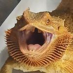 Holly Hatch - @myroomisahexagon - Instagram
