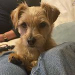 Holly Hatch - @holly_hatch3 - Instagram