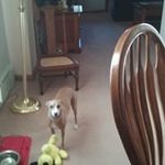 Holly Dorian Heck - @heck_holly - Instagram