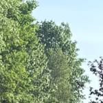 Holly Heck - @hollyheck1975 - Instagram
