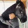 Holly Alden Hedlund - @holly.alden.hedlu - TikTok