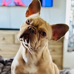 Holly Hedrick - @hhedrick2000 - Instagram
