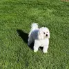 hollyherrst855 - @hollyherrst855 - TikTok