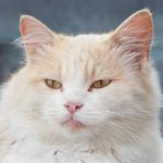 Holly Hyatt - @lesthaprarempspon547 - Instagram