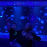 Holly Patrick Hyatt - @hollyhyatt3737 - Instagram