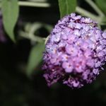Holly Irvin - @photography_h.i_2005 - Instagram