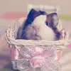 HJ Holly jarman - @holly_j_2015 - TikTok