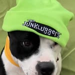 Junkluggers of Hollywood - @junkluggersofhollywood - Instagram