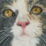 Holly Knapp - @hk_design47 - Instagram