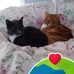 Holly Knapp - Facebook