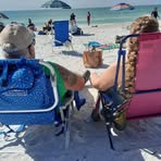 Holly Lee Knapp - Facebook