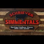 Holly Koch - @schriever_simmentals - Instagram