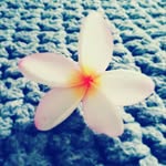 Holly - @holly__lamberti - Instagram