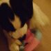 Holly Large - Facebook