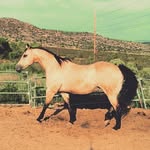 Holly v. Lusk - @hvl65 - Instagram