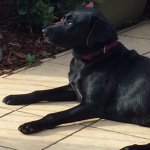 Holly Mabry Jolley - @hfmabry - Instagram