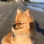 @holly.mahon11 - Instagram