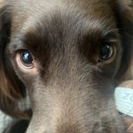 holly mahon - @holly.mahon12 - Instagram