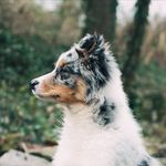 Holly Mahon - @baily1239 - Instagram