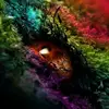 Holly_A._Mallory - @Holly_A._Mallory - TikTok