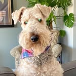 Holly Manson - @fransway25 - Instagram