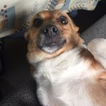 Marion holly - @marionholly3629 - Instagram