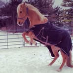 Holly Markel - Facebook