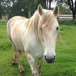 Holly Meeks - @typesomethingclever - Instagram