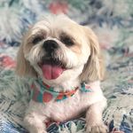 Holly Messick - @holmes314 - Instagram
