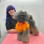 Holly Mills - @hollymills_doggrooming - Instagram