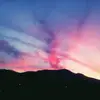 holly.mi - @holly.mi - TikTok