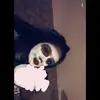 Holly Millar - @hollymillarrrr - TikTok