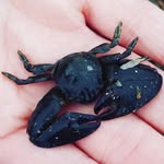 Holly Millar - @holly_pearl_millar - Instagram