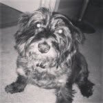 Holly Mize - @holly_stinkbug - Instagram
